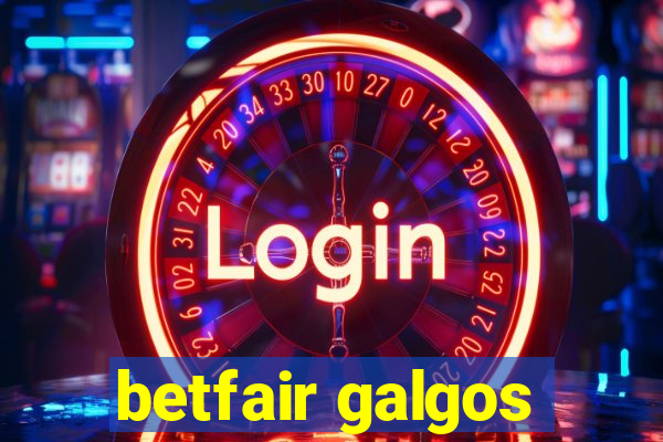 betfair galgos